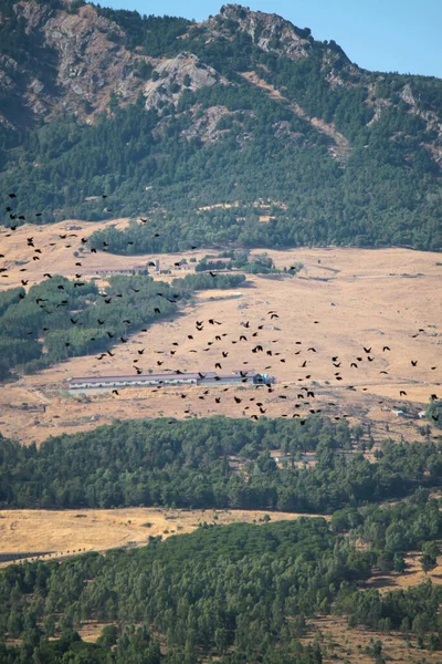 Paysage Naturel Avec Collines Sicile — Photo