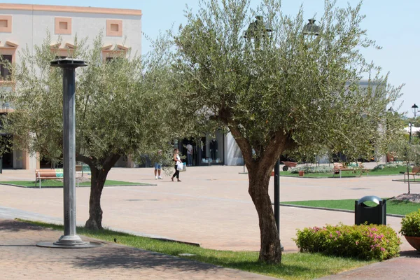 Vista Sul Paesaggio Urbano Con Alberi Verde — Foto Stock