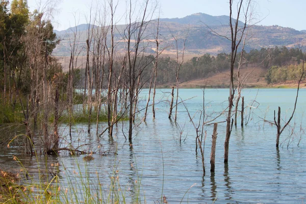 Uitzicht Stuwdam Met Natuurlijk Landschap Het Centrum Van — Stockfoto