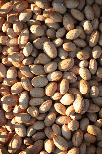 Almendras Sin Cáscara Para Secar Sol — Foto de Stock