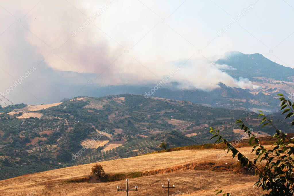 view of agricultural fire in the center of Sicily