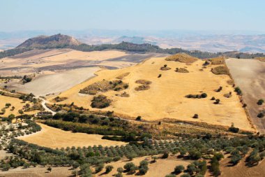 Sicilya 'nın merkezinde tarım manzarası