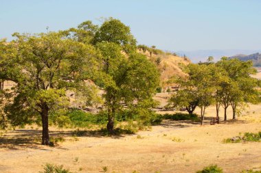Sicilya 'nın merkezinde doğal tarım manzarası