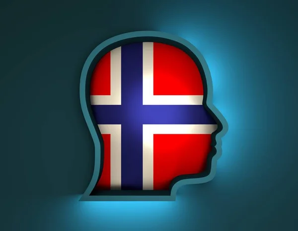 Norveç bayrağı ile baş siluet soyut 3d çizimi — Stok fotoğraf