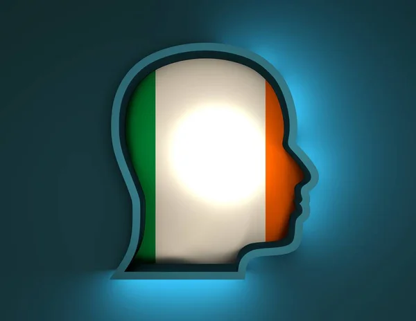 Abstraktní 3d ilustrace hlavy silueta s vlajkou Irska — Stock fotografie