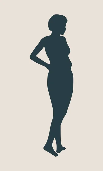 Silhouette de femmes sexy — Image vectorielle