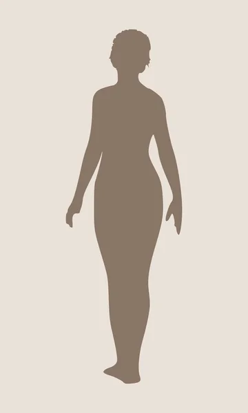Silhouette de femmes sexy — Image vectorielle
