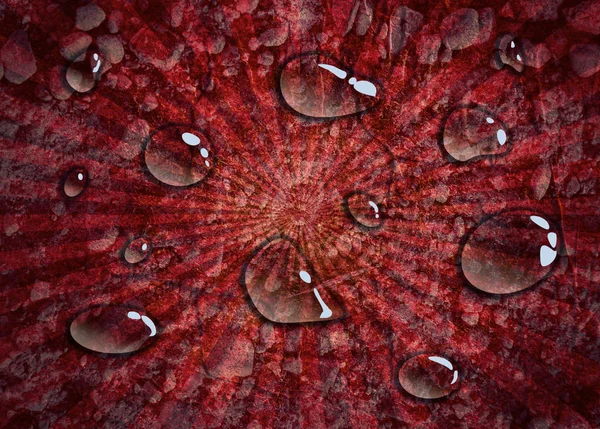 Öppet vatten droppar på röd bakgrund — Stockfoto