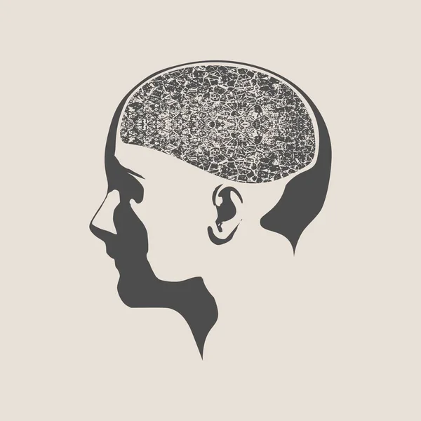 Ilustración de una cabeza de mujer con cerebro — Vector de stock