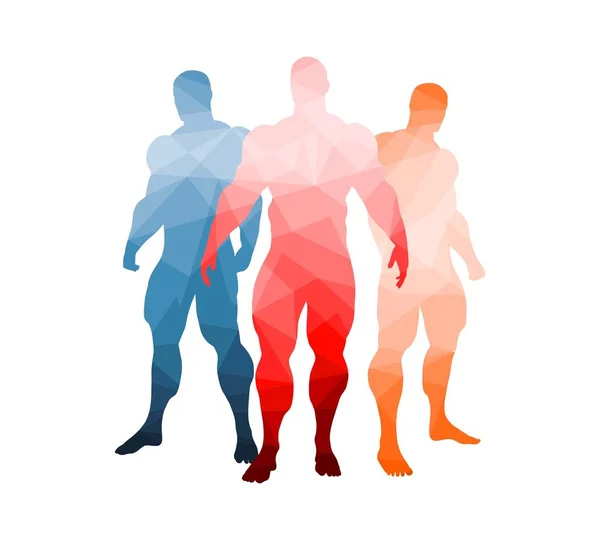 The set of 3 Body building silhouette — Stock Vector