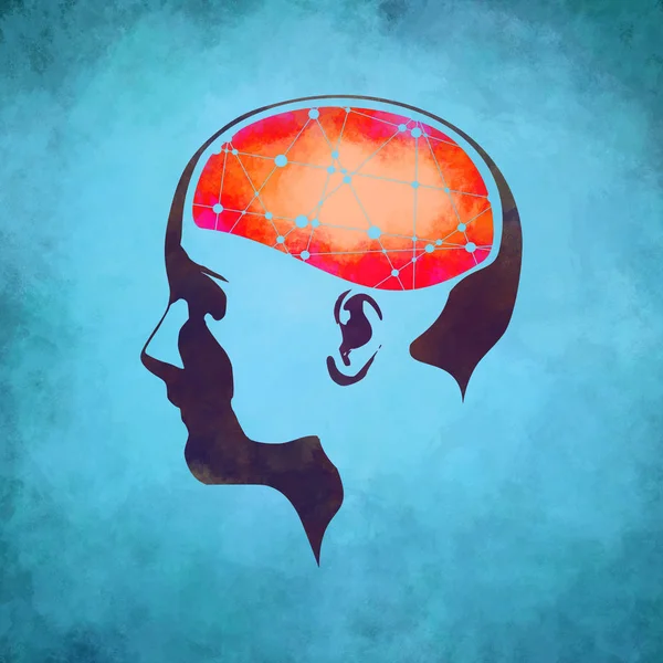 Illustrazione di una testa di donna con cervello — Foto Stock