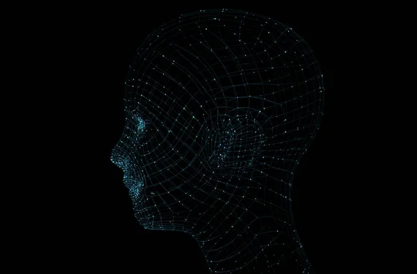 Head of the Person from a 3d Grid.