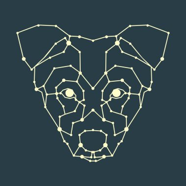 Köpek başkanı düşük Poli