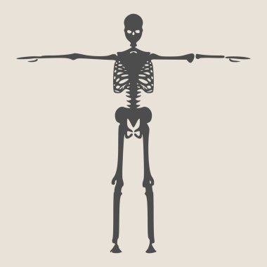 Cadılar Bayramı insan iskeleti