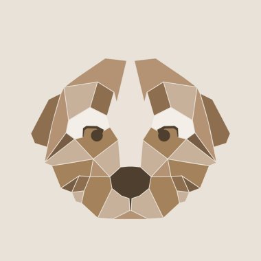 Köpek başkanı düşük Poli