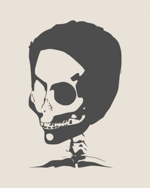 Kafatasının anatomik illüstrasyon