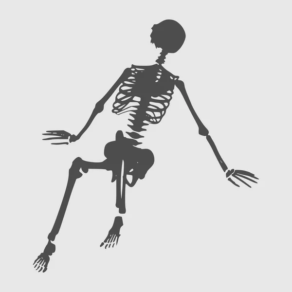 Halloween human skeleton — Stock Vector