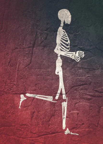 Szkielet ludzki Halloween — Zdjęcie stockowe