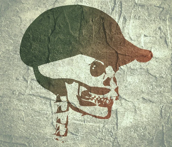 Анатомическая иллюстрация черепа — стоковое фото