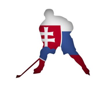 Profesyonel hokey oyuncusu