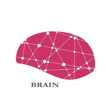 insan beyni kavramı