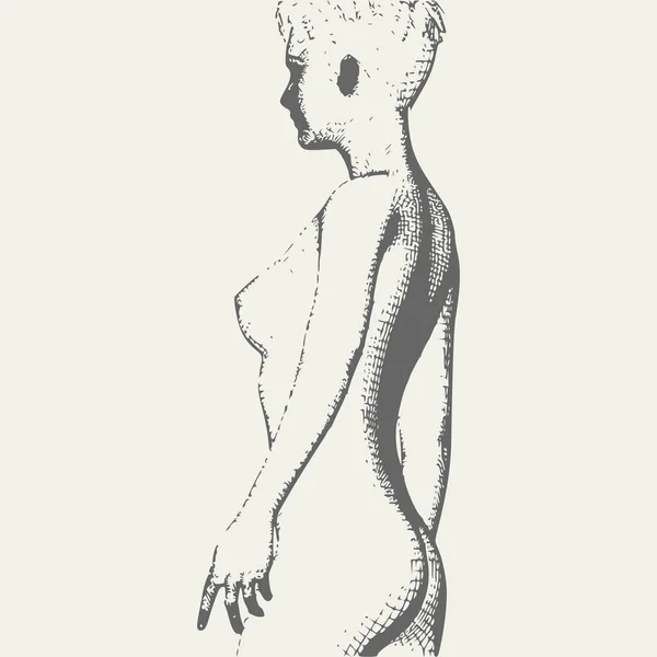 Bosquejo de mujer joven desnuda — Vector de stock