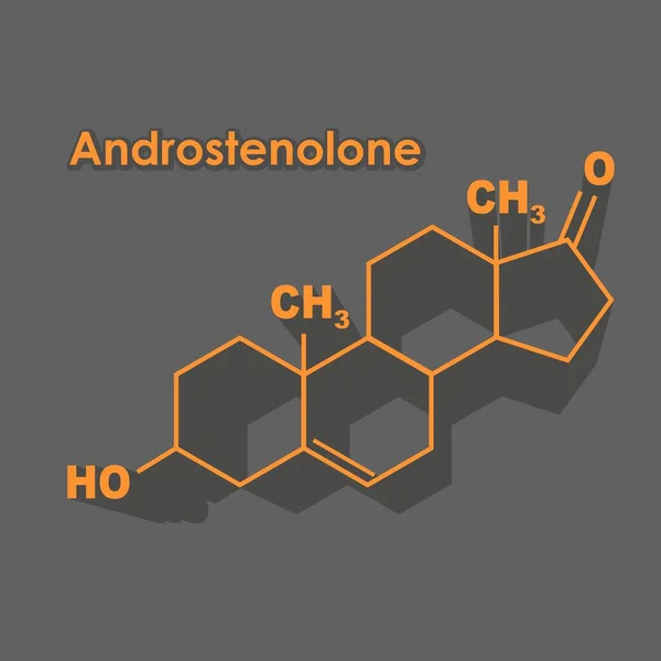 Fórmula hormônio androsterona —  Vetores de Stock