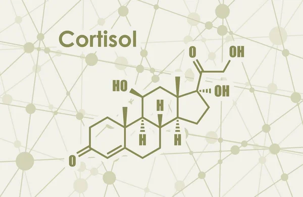 Kortisol hormon steroid - Stok Vektor