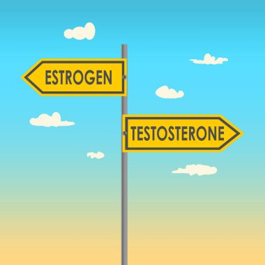 Östrojen ve testosteron.