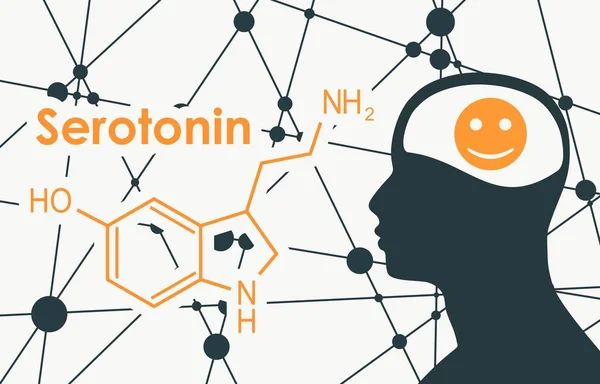 세로토닌의 공식 호르몬. — 스톡 벡터