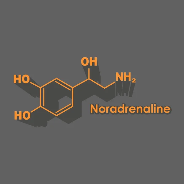 Fórmula hormona noradrenalina. —  Vetores de Stock