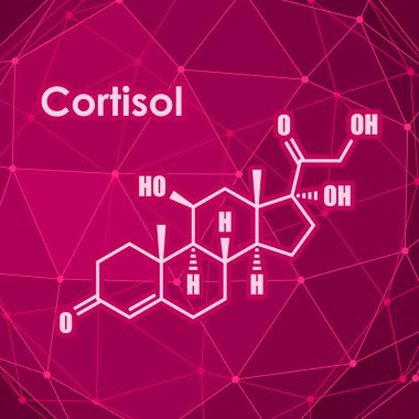 Steroid hormon kortizolü