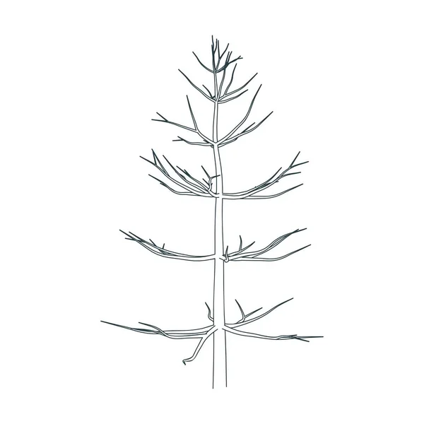 Δέντρο χωρίς φύλλα — Διανυσματικό Αρχείο