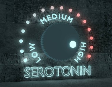 Hormon serotonin seviyesi.