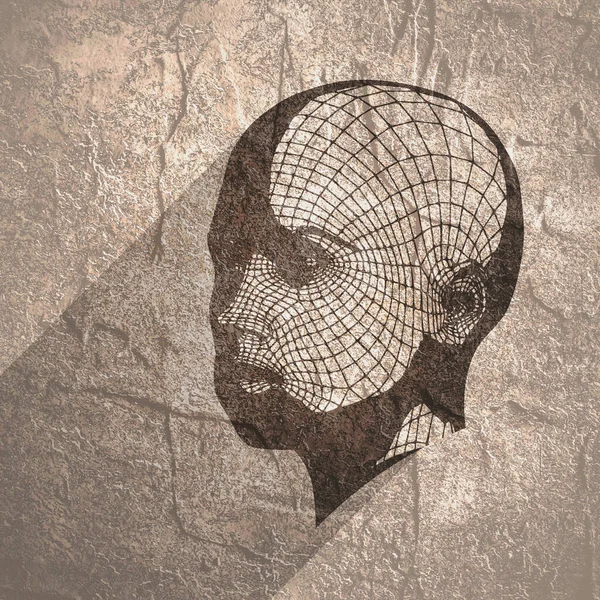 3D Grid 'den Kişinin Başı.