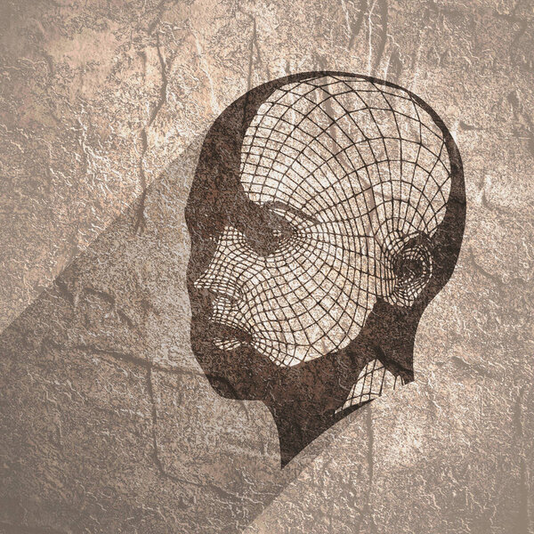 Head of the Person from a 3d Grid.