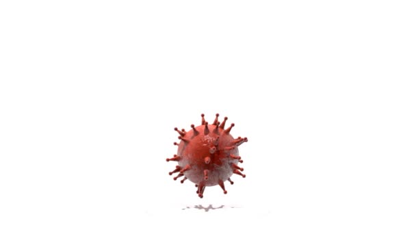 Infográfico sobre coronavírus . — Vídeo de Stock