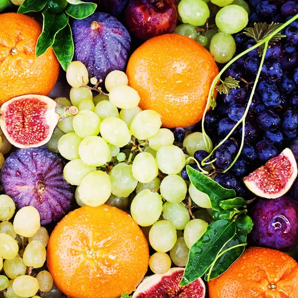 Kleurrijke zomer Fruit achtergrond met druiven, vijgen en mandarijnen — Stockfoto