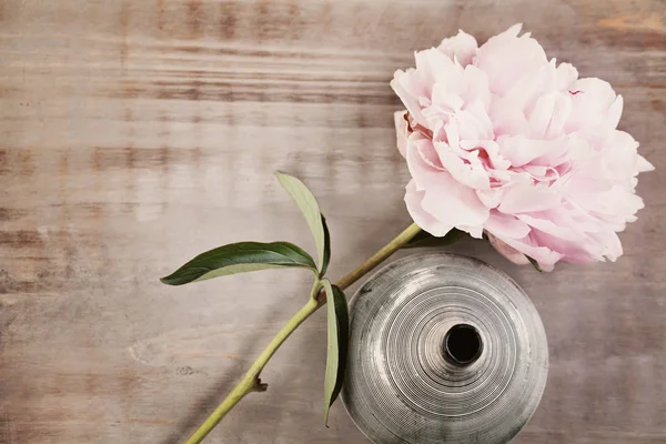 Пионский цветок на винтажном деревянном фоне — стоковое фото