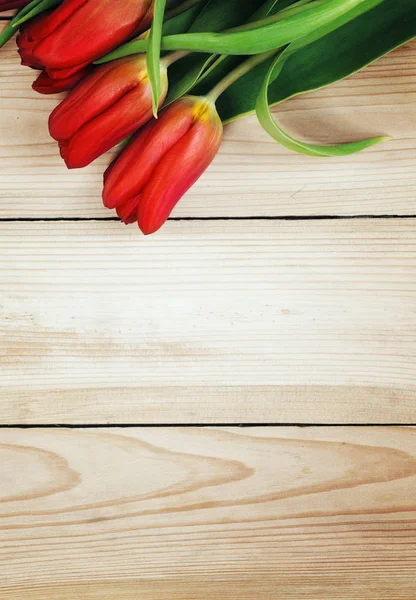 Tulipán rojo flores sobre fondo de madera — Foto de Stock