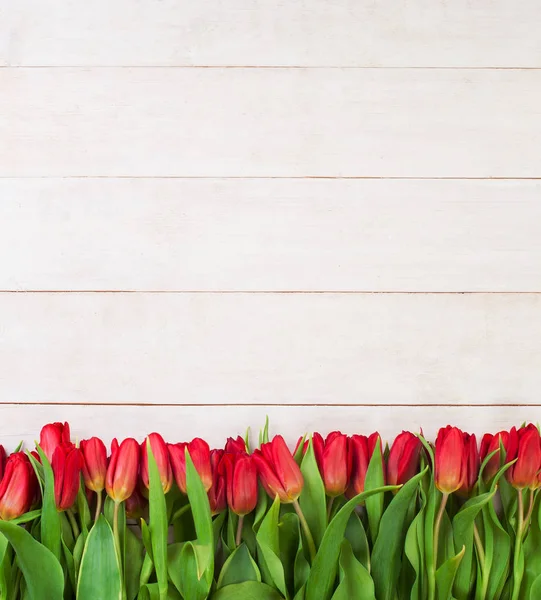 A fából készült háttér piros tulipán virágok határán — Stock Fotó