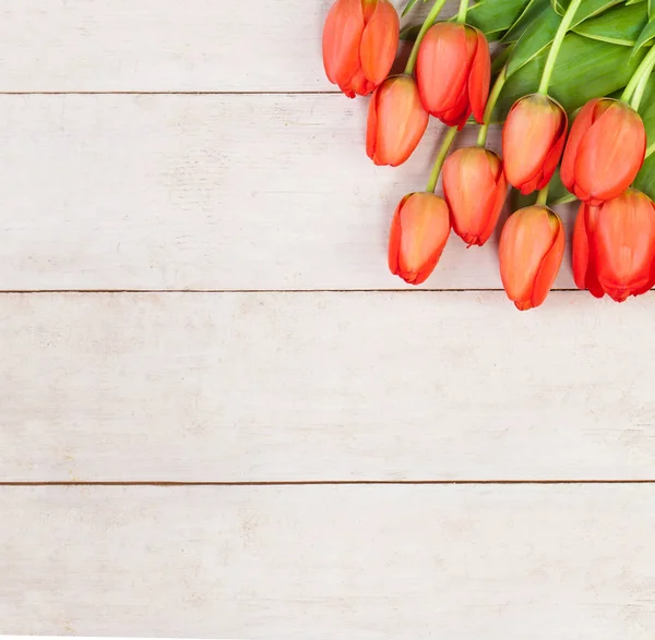 Flores de tulipán sobre fondo de madera blanca — Foto de Stock