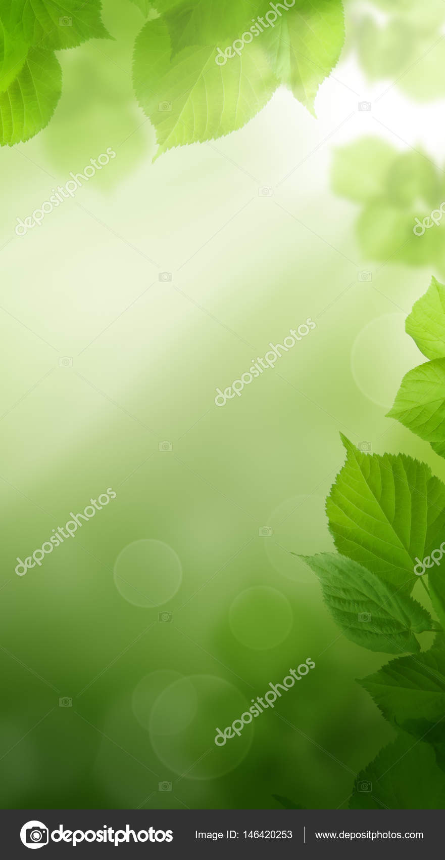 Abstract Spring Green Wallpaper Background with Greenery Foliage Stock  Photo by ©Artmim 146420253