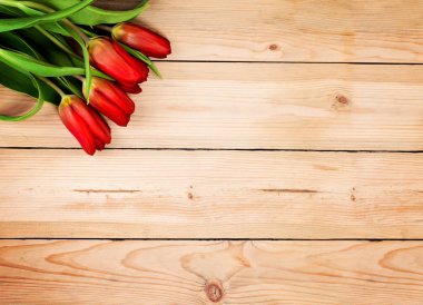 Antika ahşap arka plan ile Lale çiçek