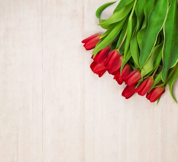 Fondo de flores de primavera con flores de tulipán holandesas — Foto de Stock