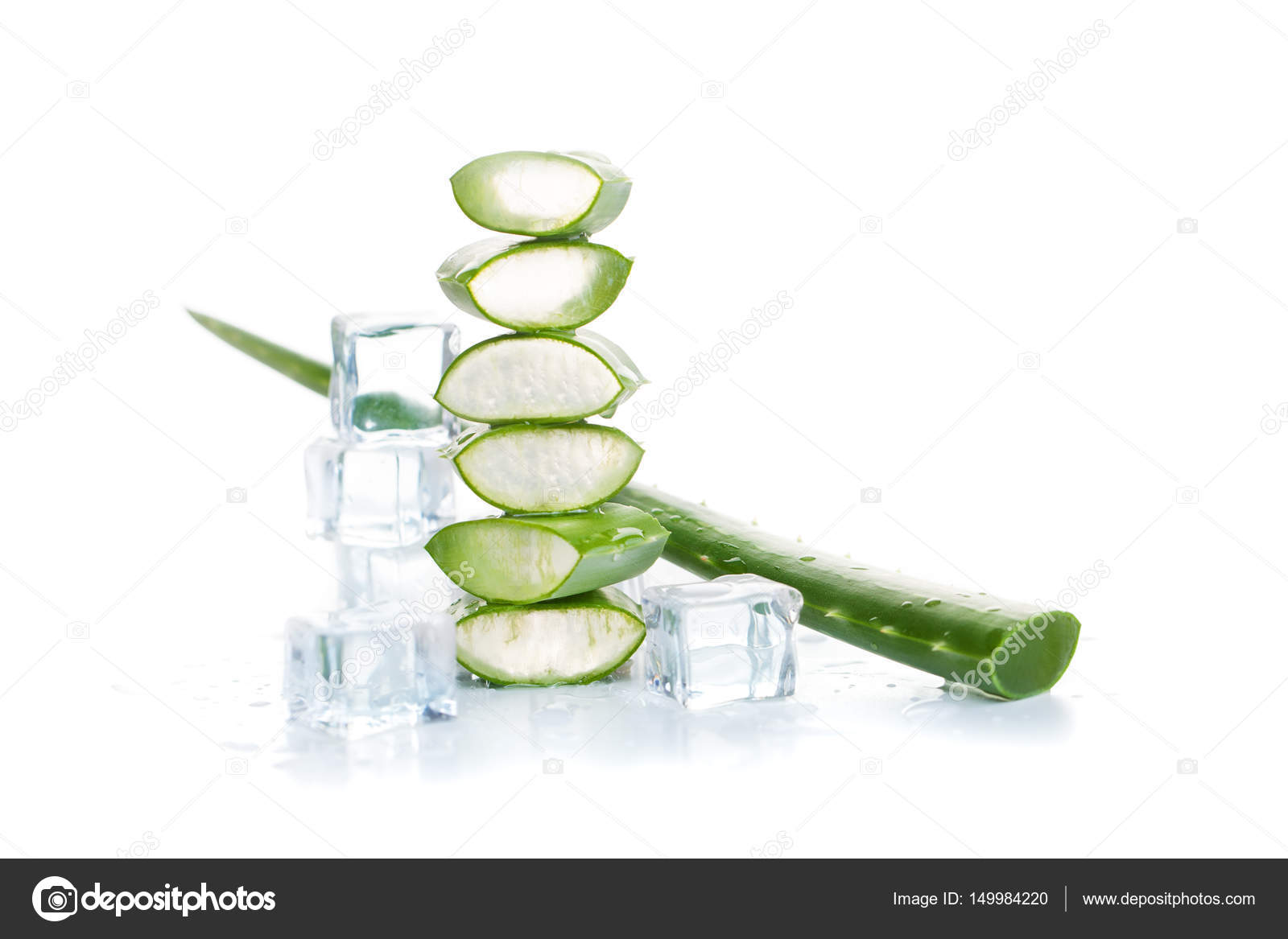 Aloe Vera Plant and Ice Cubes on White Background Stock Photo by