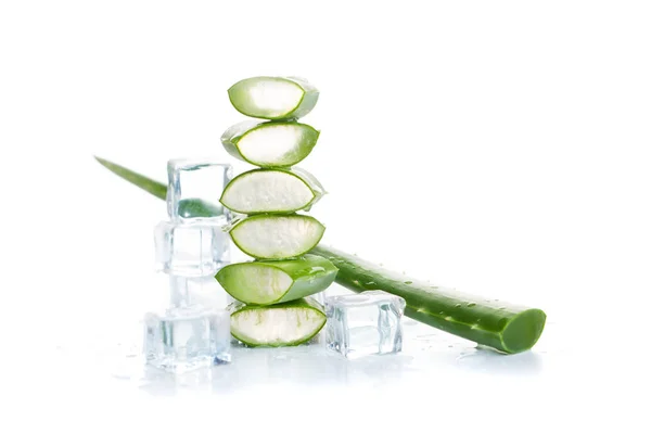 Aloe Vera växt och isbitar på vit bakgrund — Stockfoto