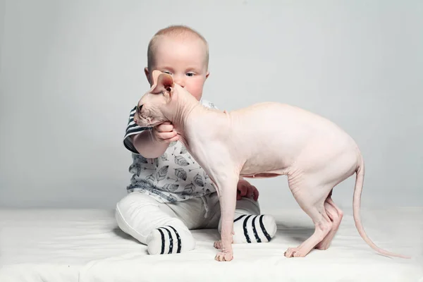 Baby und Katze auf grauem Hintergrund — Stockfoto
