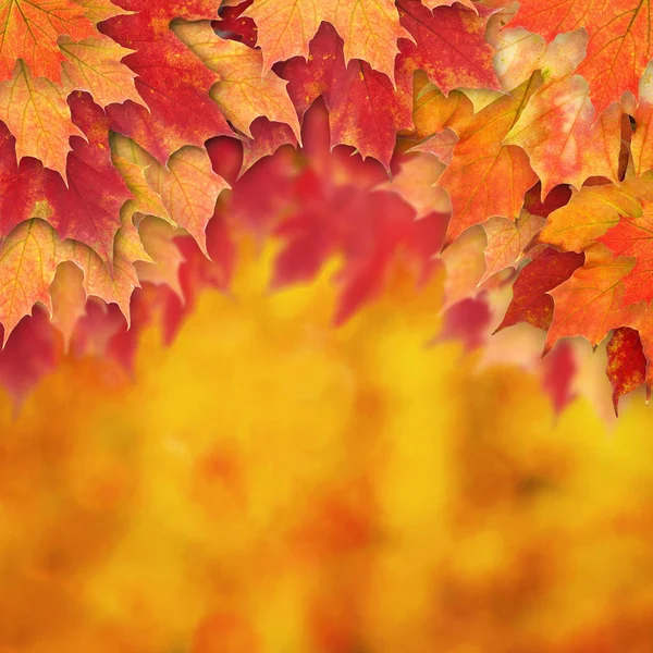 Frontera de fondo de otoño abstracta con hojas de otoño — Foto de Stock