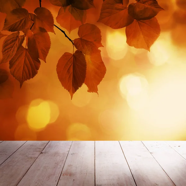 Autumn Background with Red Linden Leaves, Golden Bokeh — Stock Photo, Image